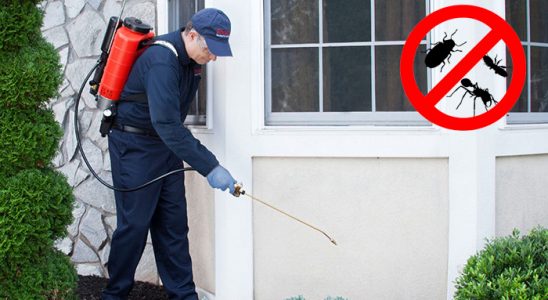 Alaplı Akrep İlaçlama böcek ilaçlama ve haşere kontrolü — ilaclama-tr.com